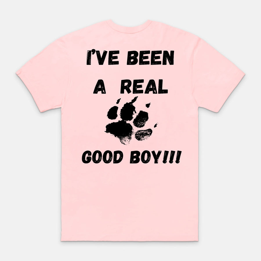 I've Been A Real Good Boy T-Shirt