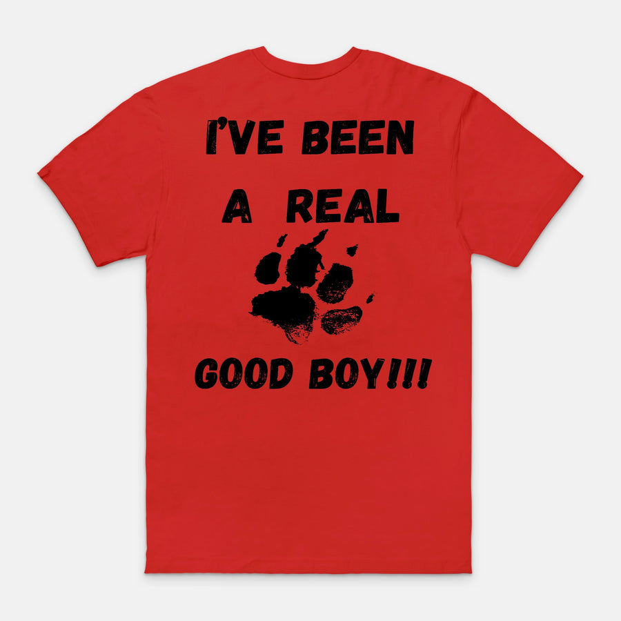 I've Been A Real Good Boy T-Shirt